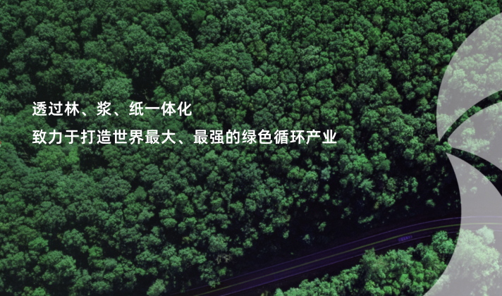 三森纸业